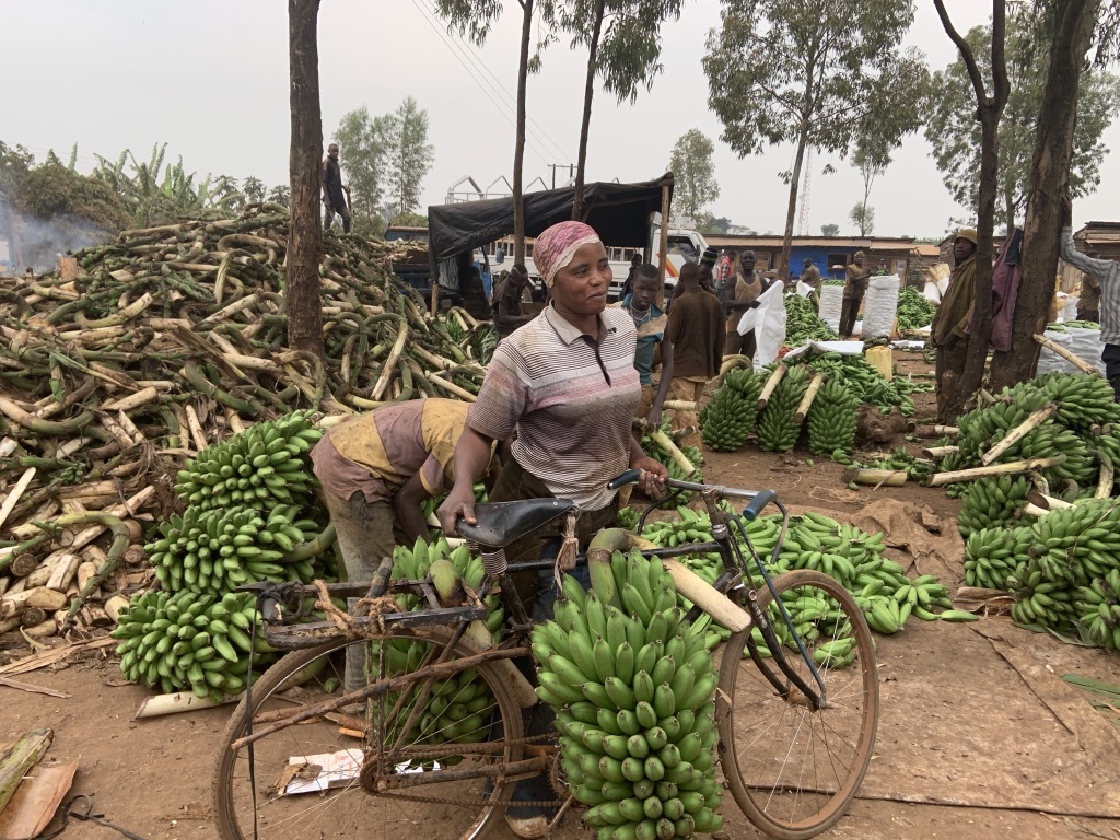 Extending PES in Kenya through a rural employment service model