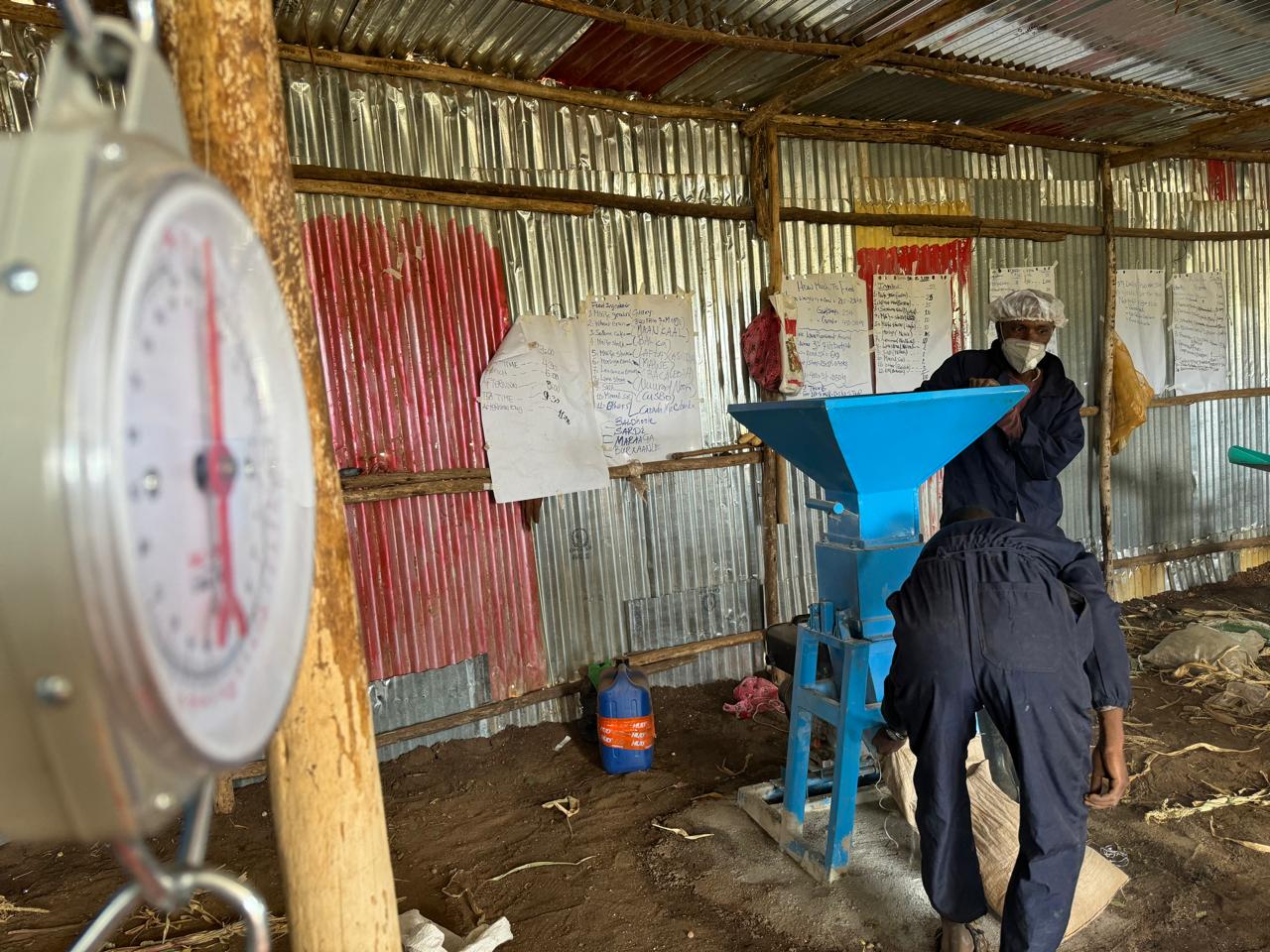 Approach to Integrated Market Systems: Dairy value chain, Somali Region